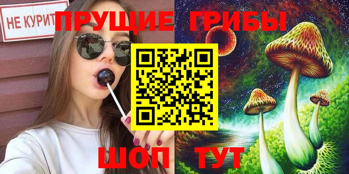 Псилоцибиновые грибы прущие грибы Чебоксары